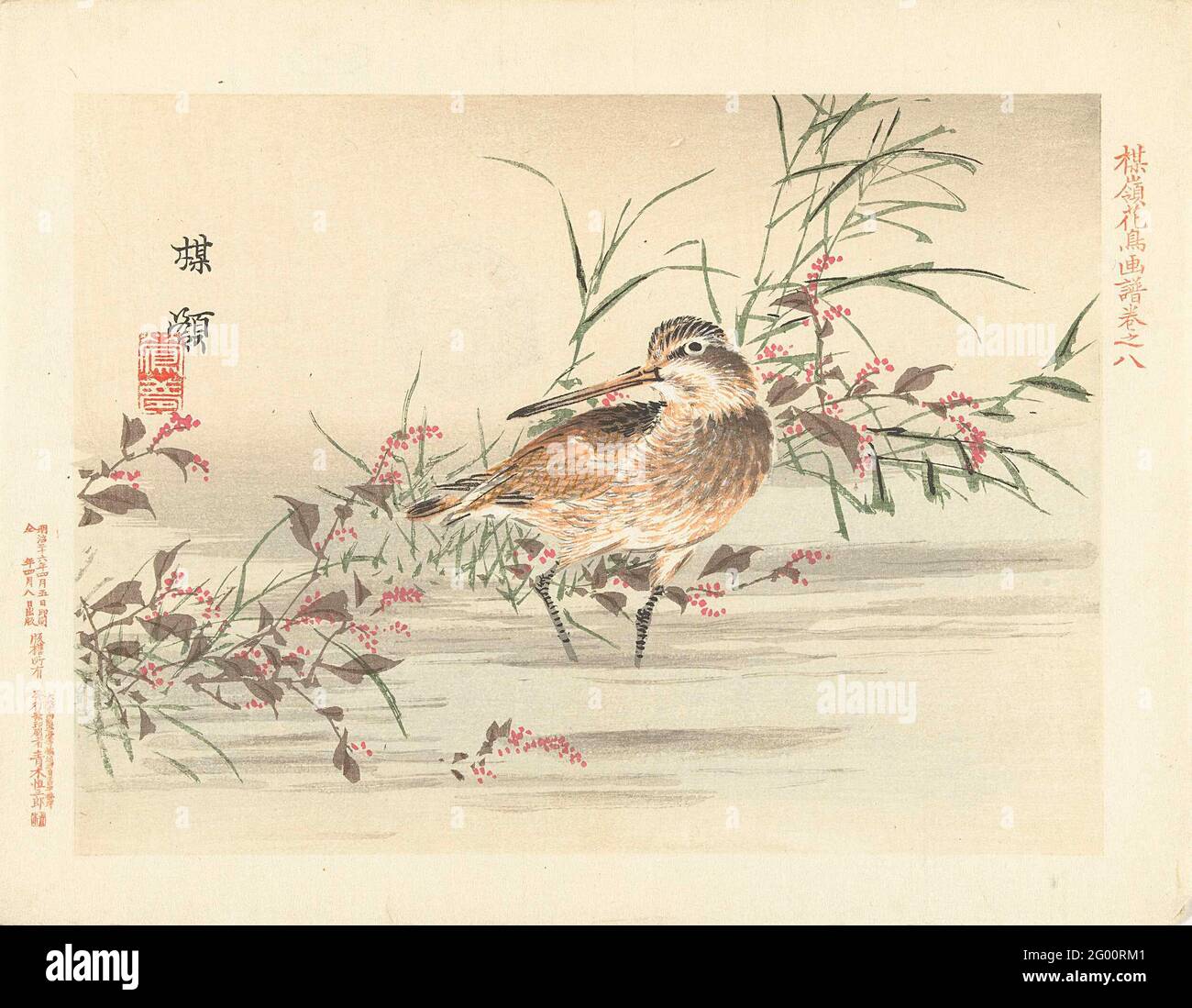 Snip; Bairei`s flower and bird sketches; Barei Kacho Gafu. Bird with long beak, in shallow water. Stock Photo